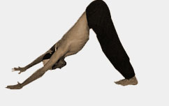 sun salutation